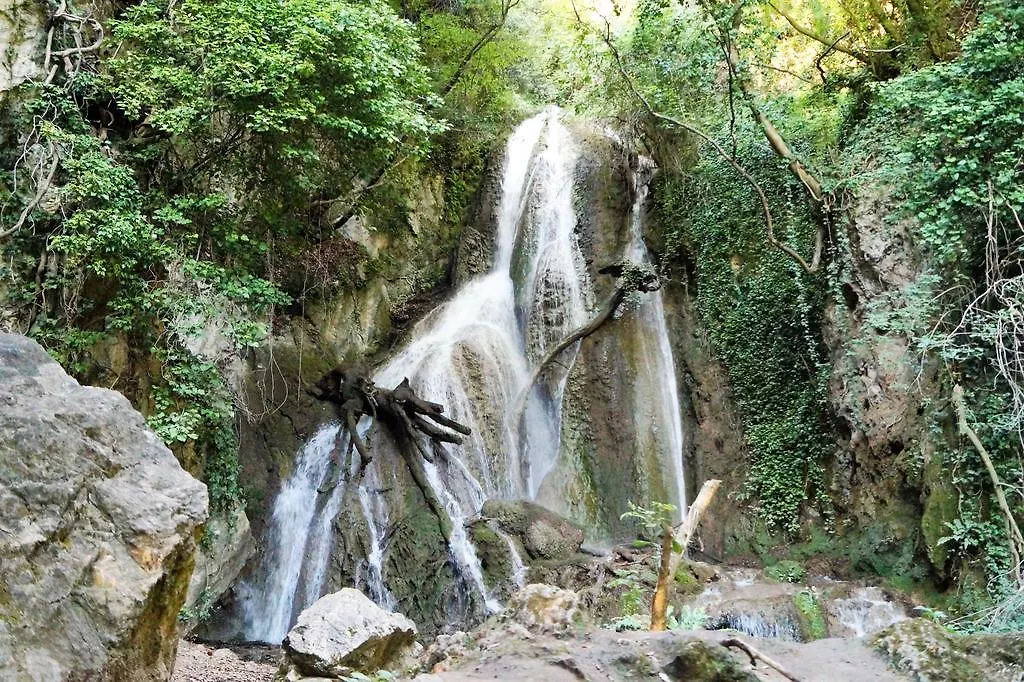 B&B Il Sentiero nel Bosco-1